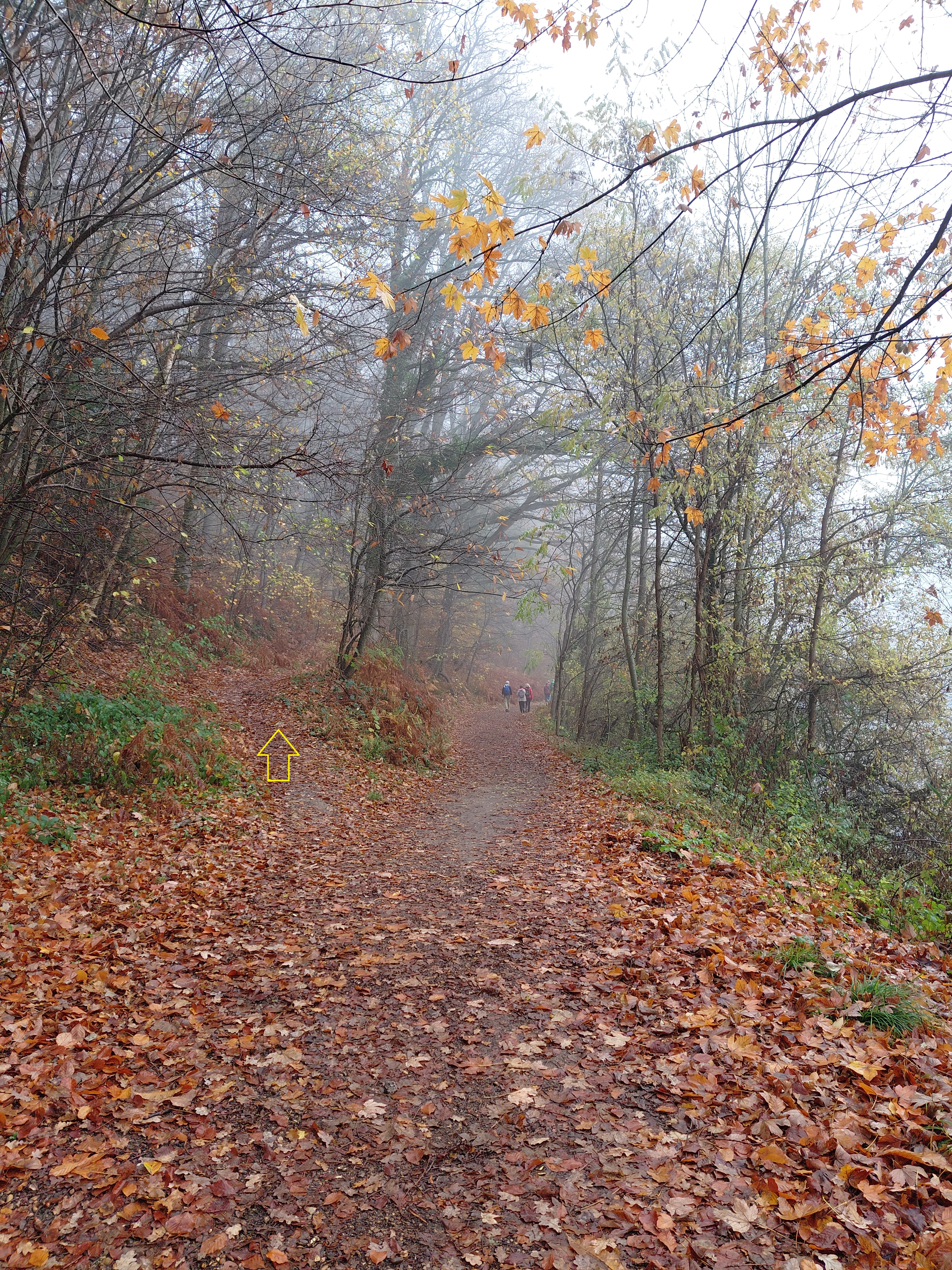 Marquage de la Décharge