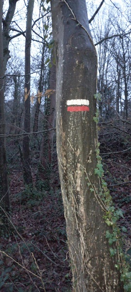 Arbre avcec marquage GR