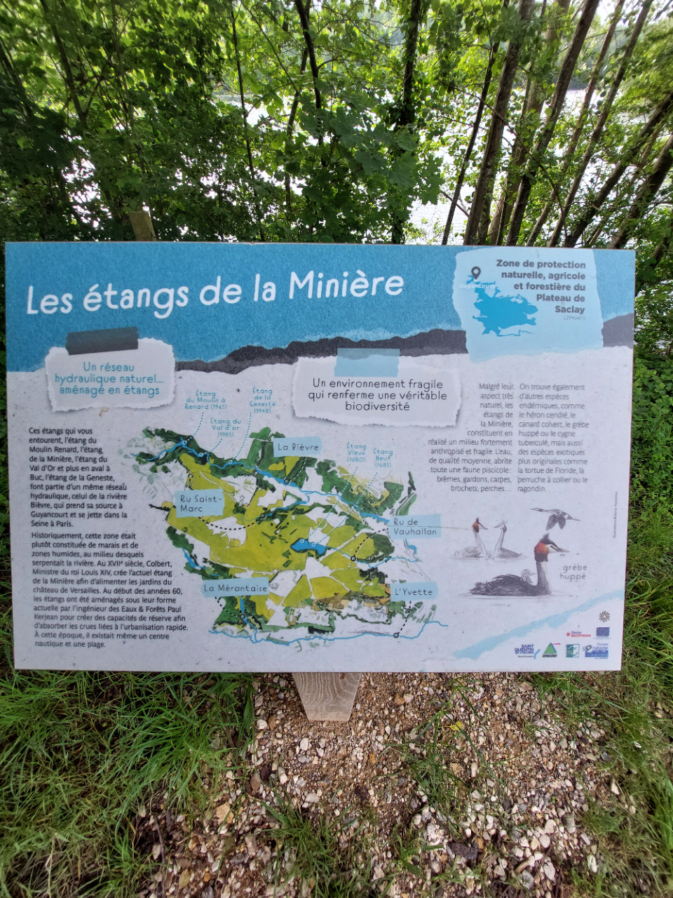 La montée du chemin communal