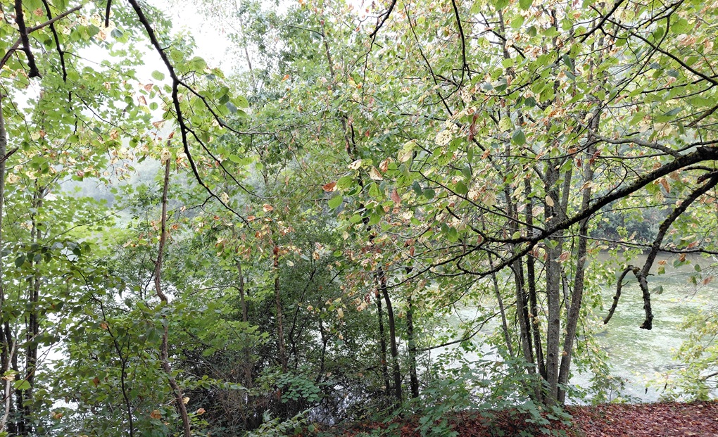 La baignade aujourd'hui