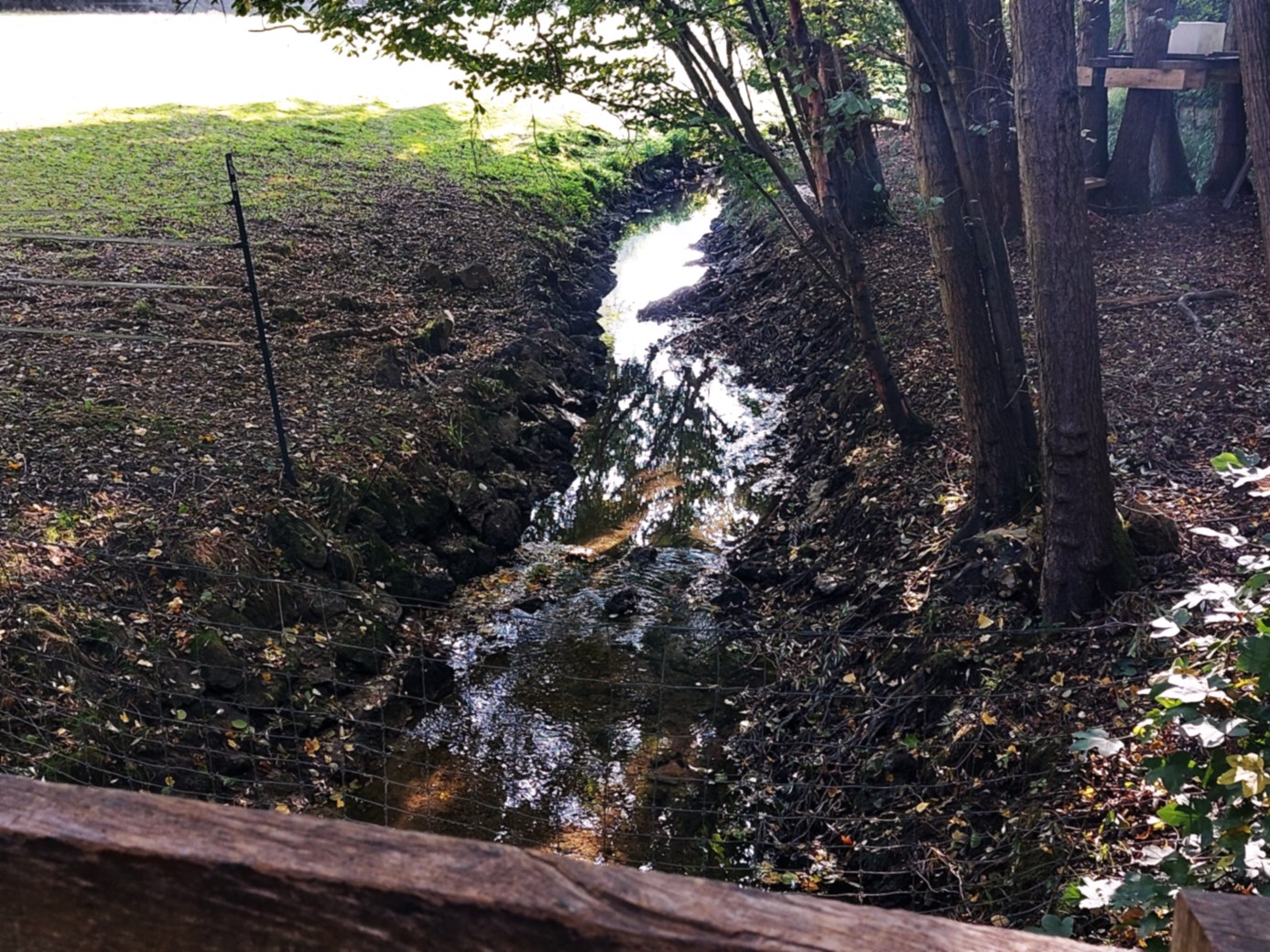 Bievre se jetant dans les étangs