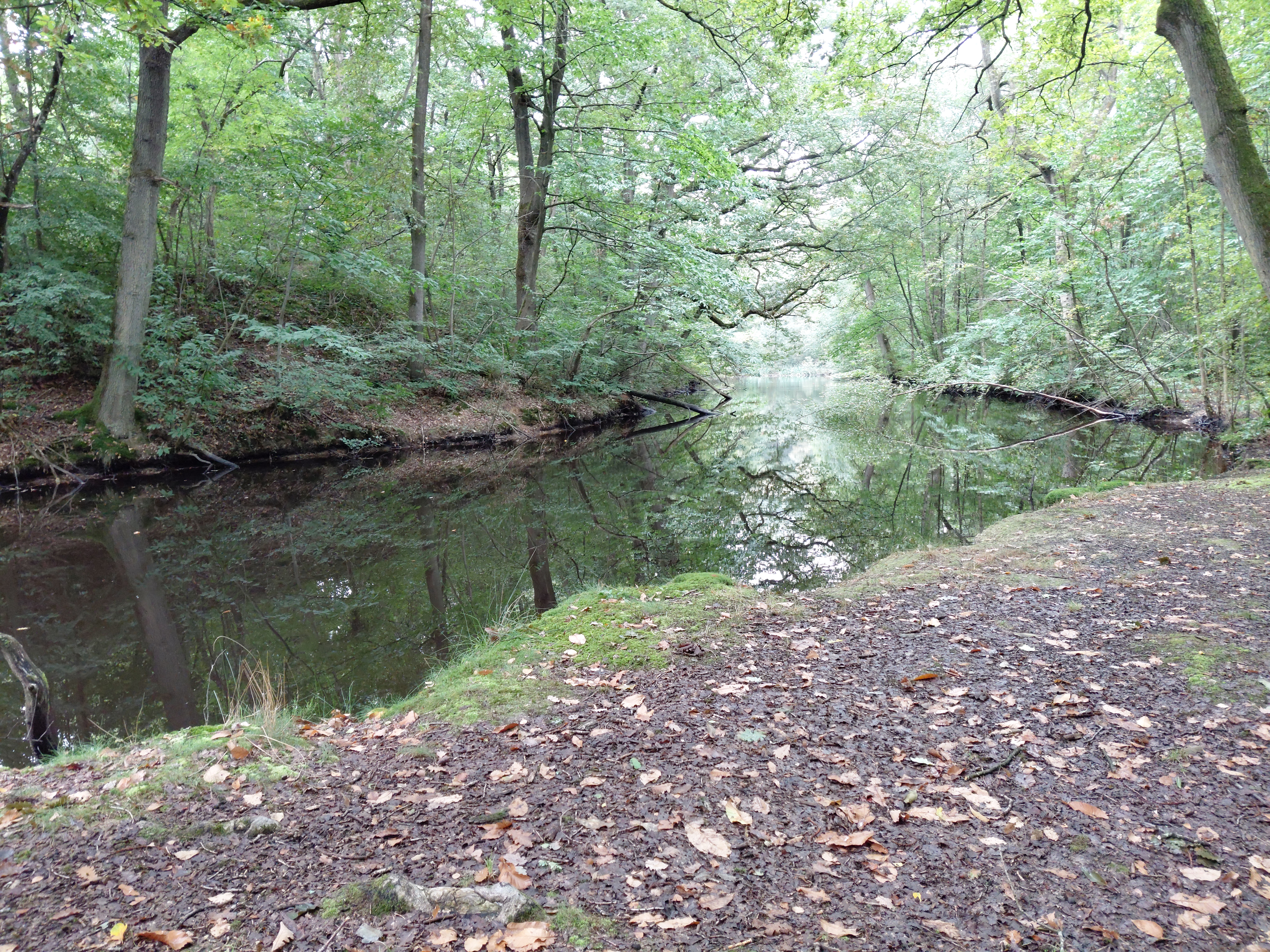 Virage de la Redoute