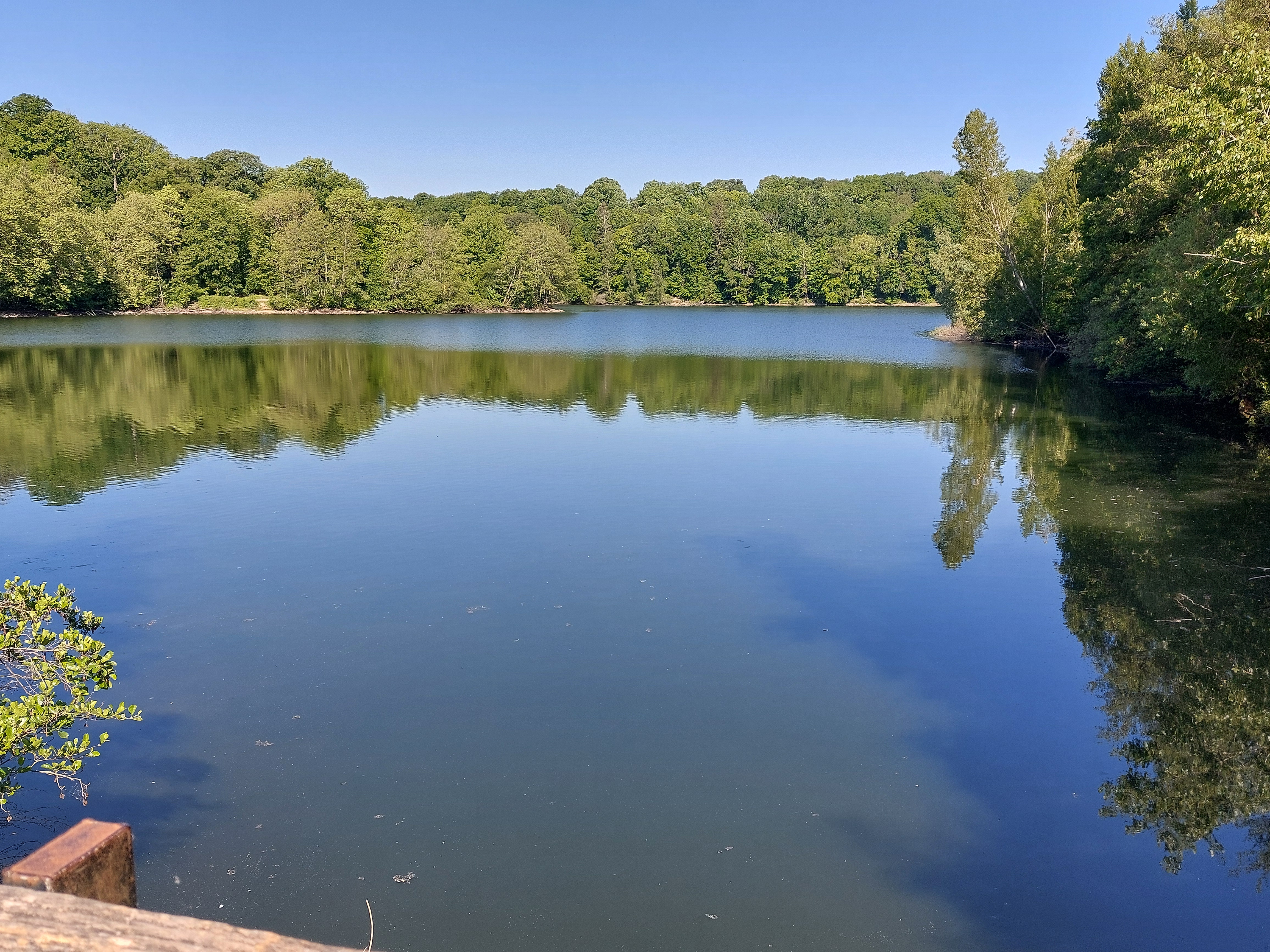 Vue générale des étangs