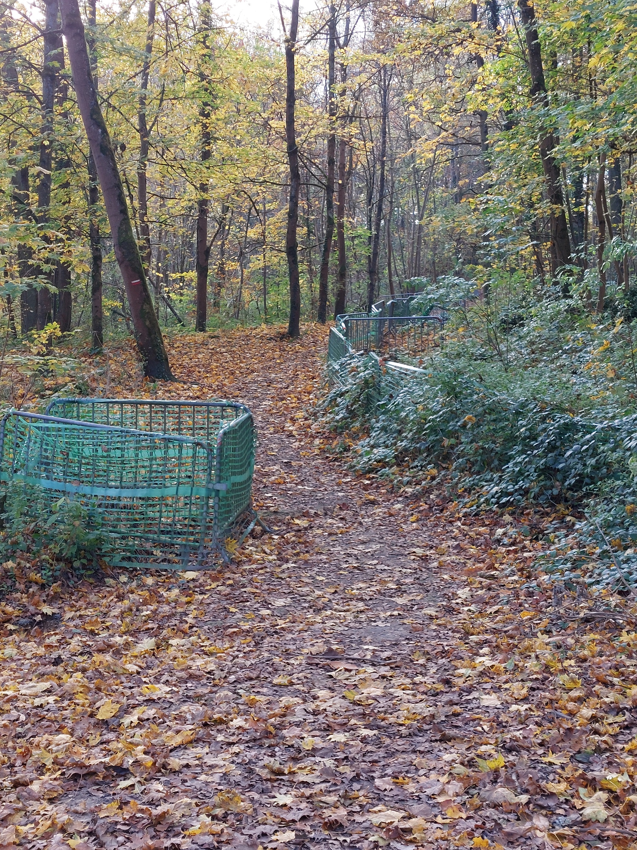 La montée du chemin communal