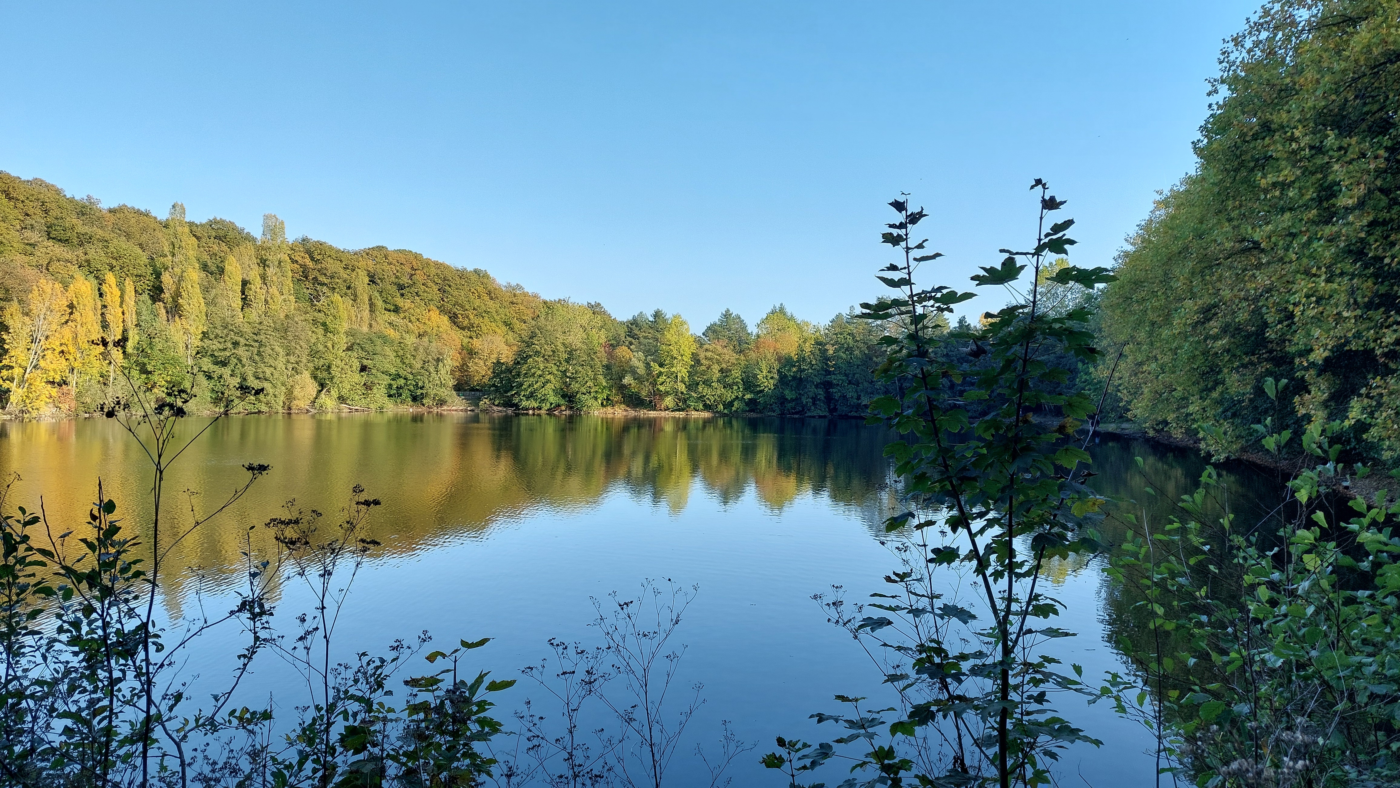 Vue générale des étangs