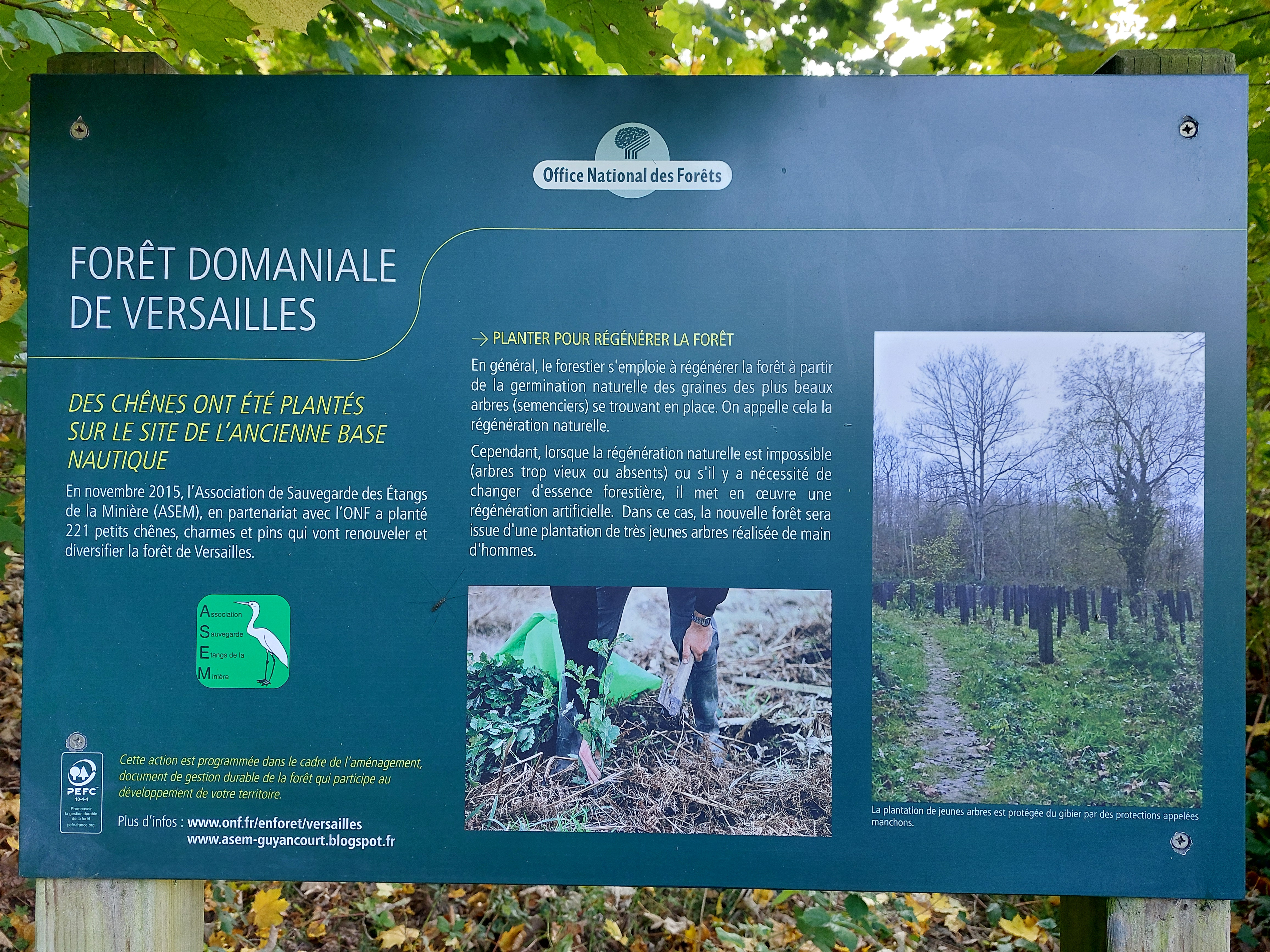 Le Panneau plantation