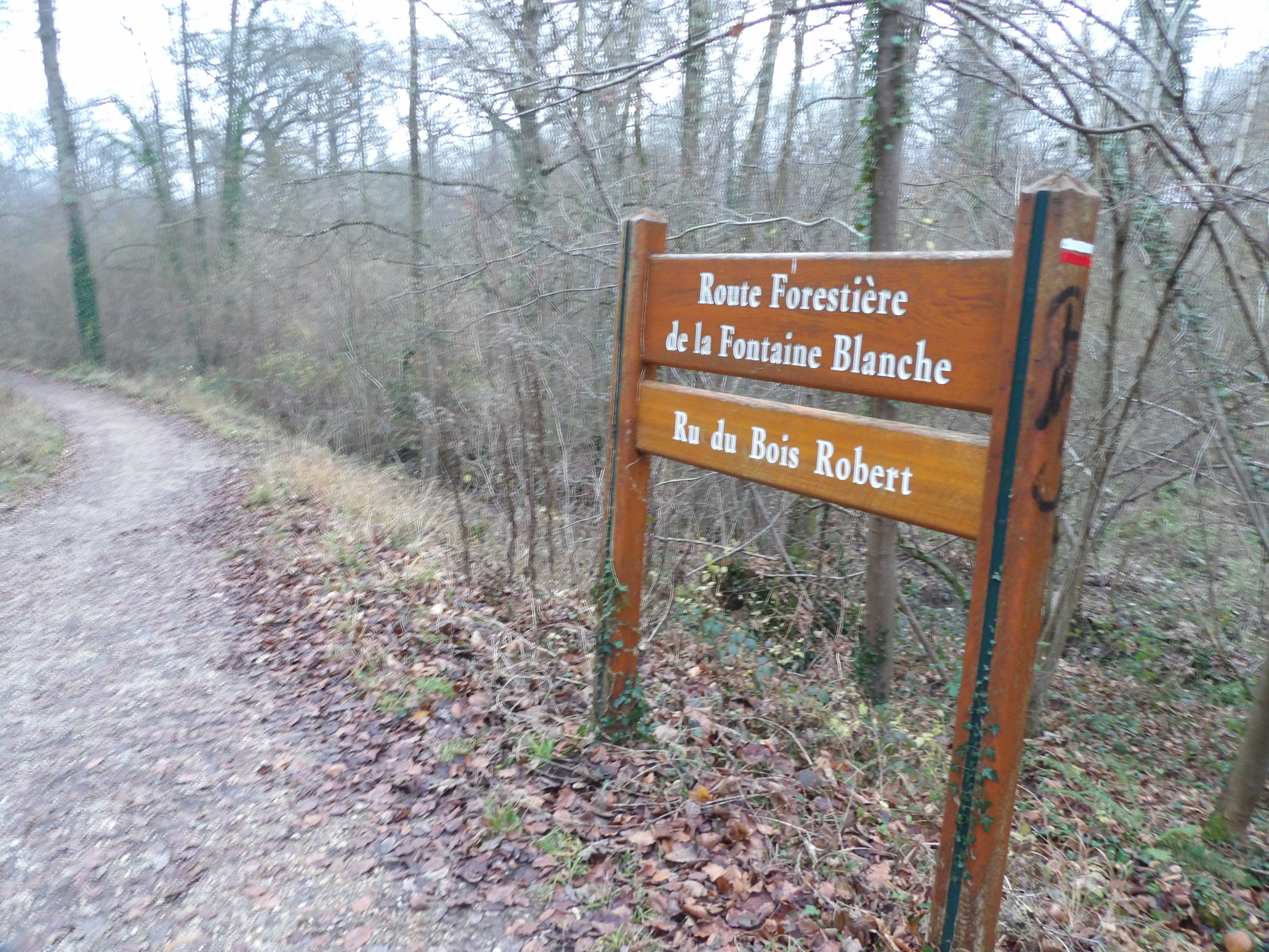 Descente vers les étangs