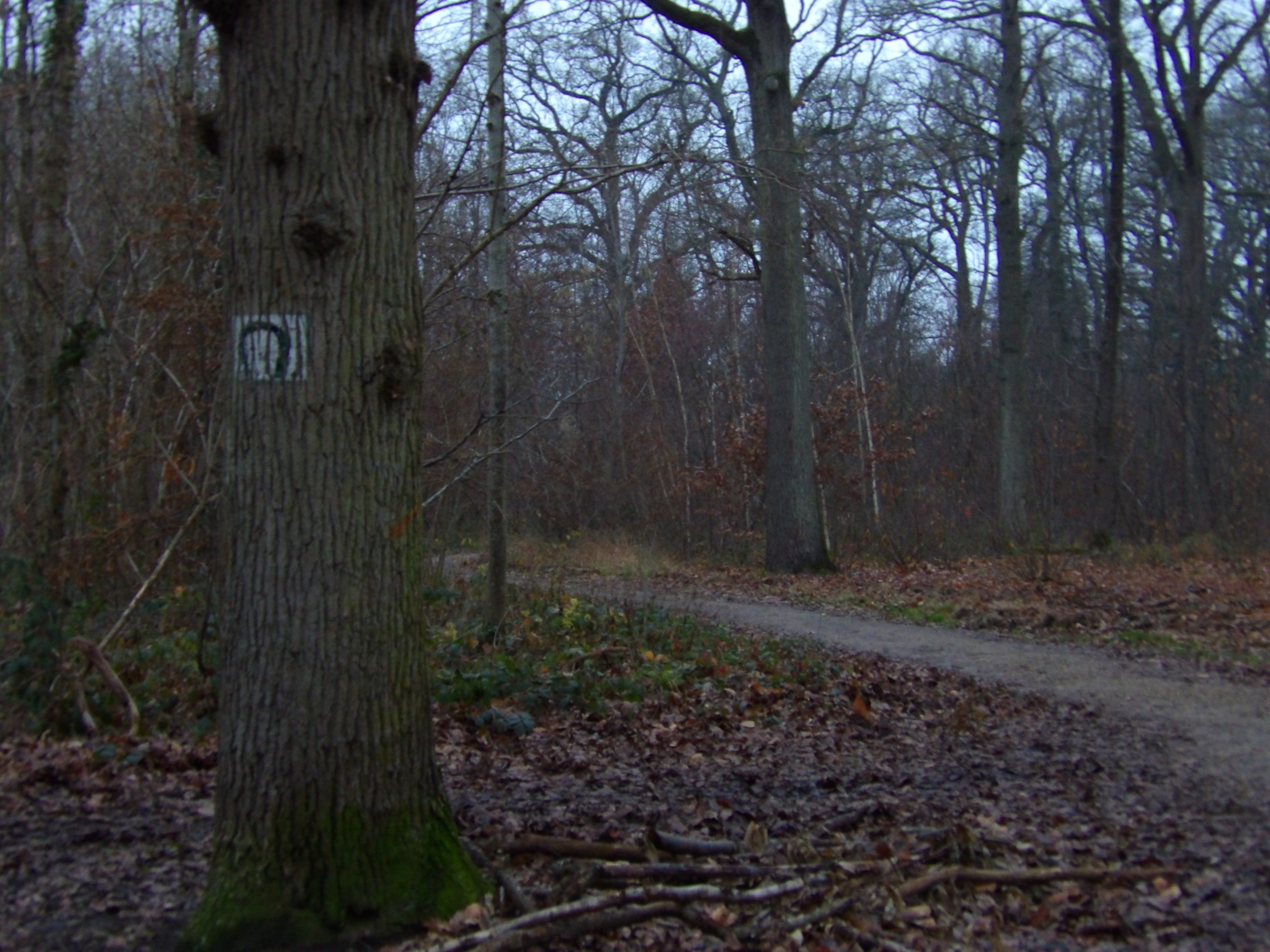 Chemin vers la stèle
