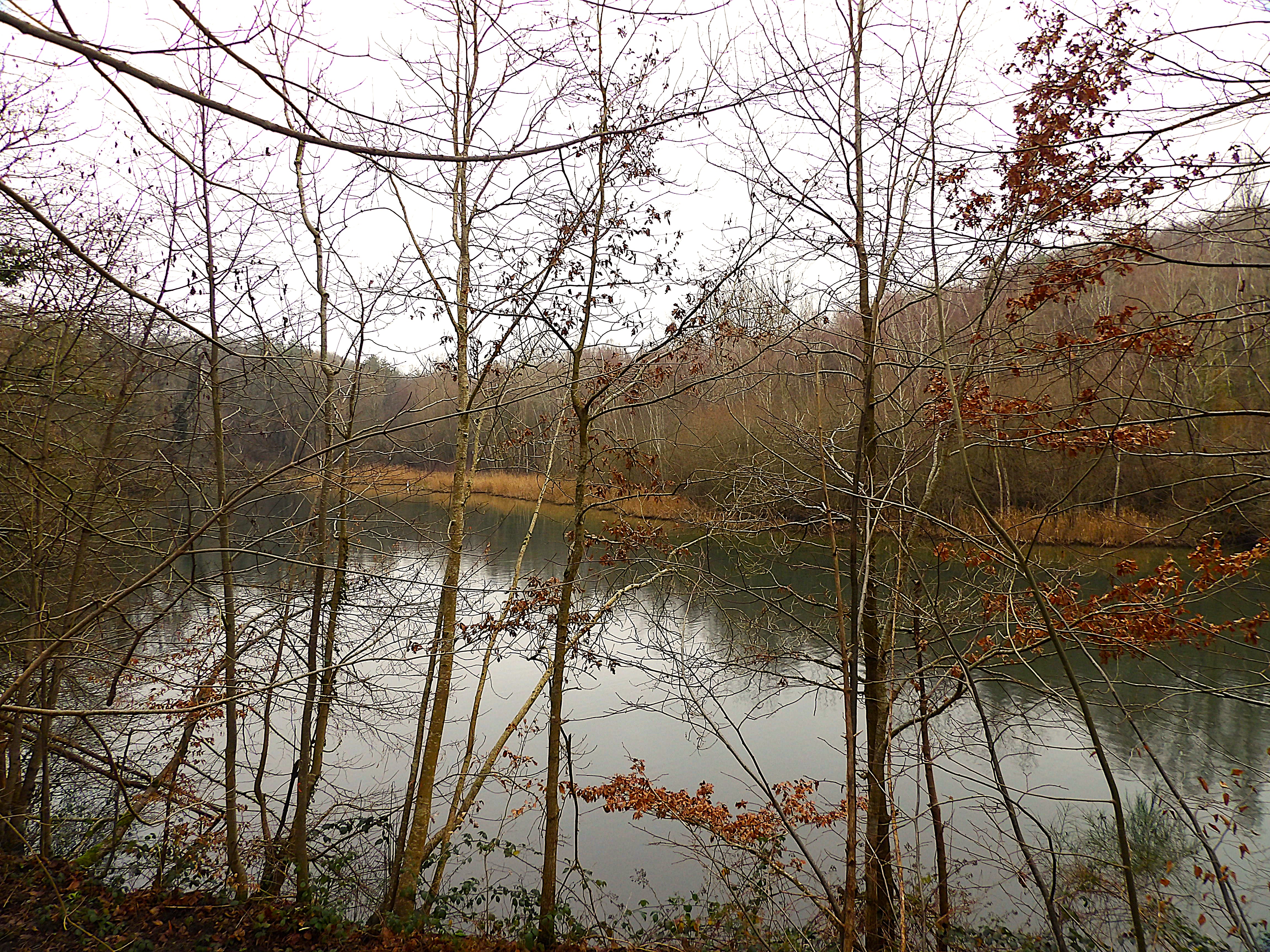 Panneau aménagements