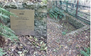 Vue générale des étangs